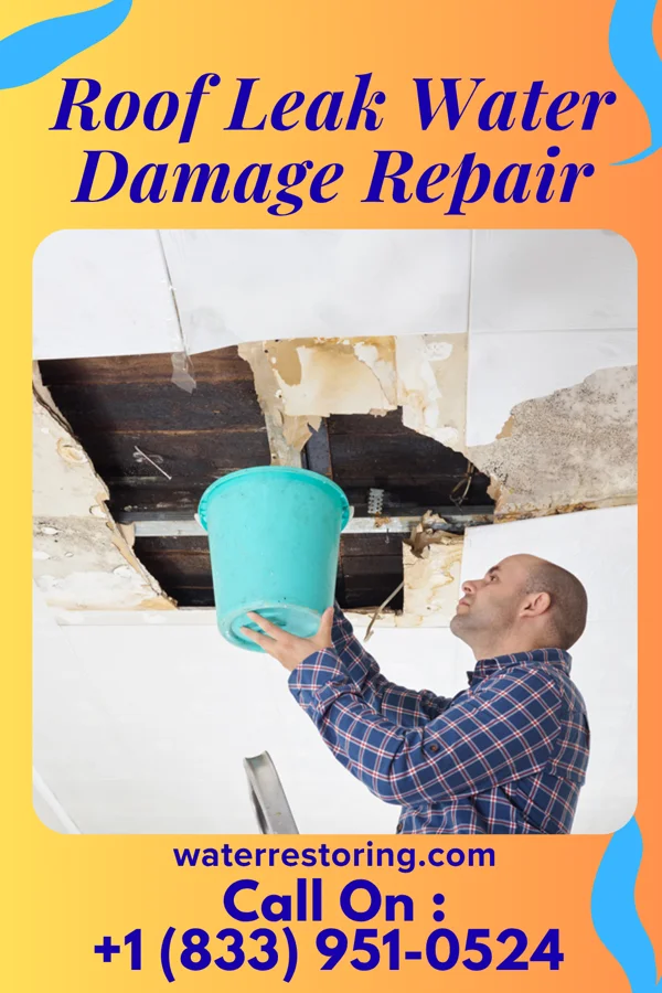 Roof Leak Water Damage Repair in Long Creek, IL